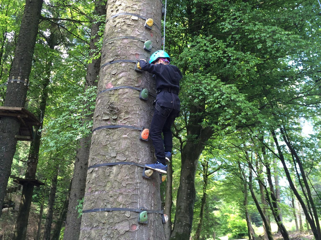 Ape Mann Adventure Park-Douglas必去景点