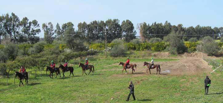 Centro Ippico Amico del Cavallo-Misterbianco必去景点