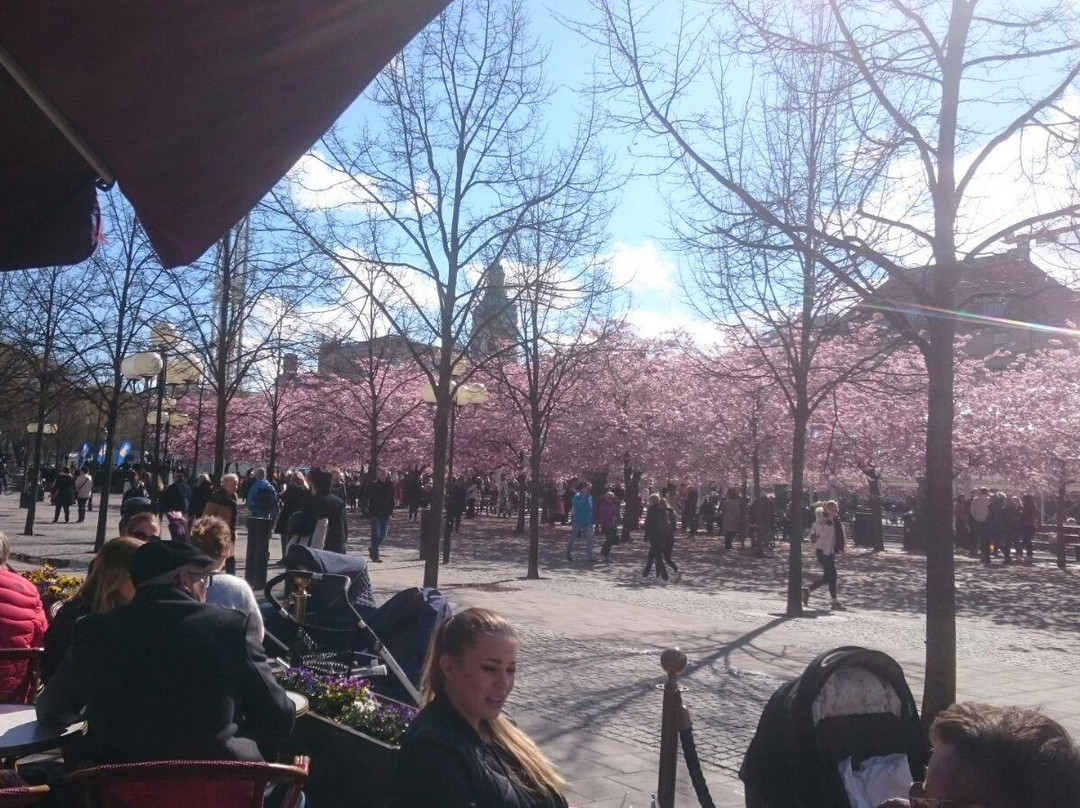 Kurhotel Panland Betriebs主图