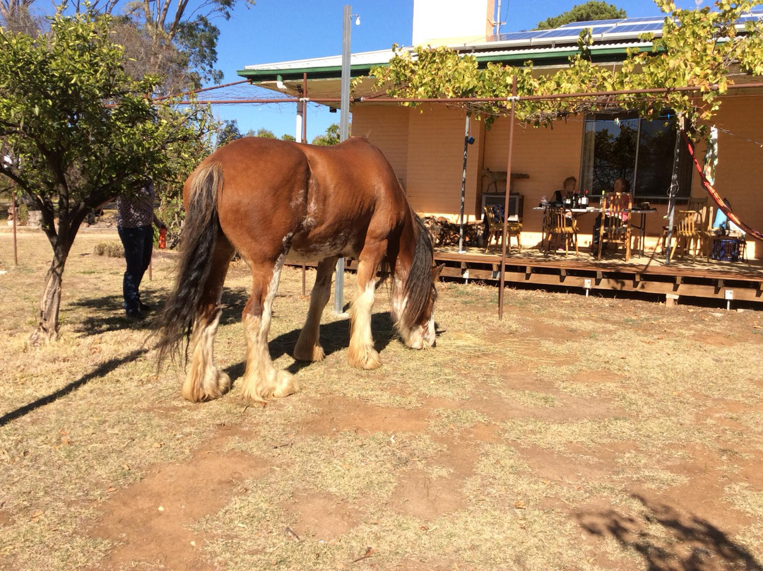 Kimbolton旅游景点-Burke & Wills Winery