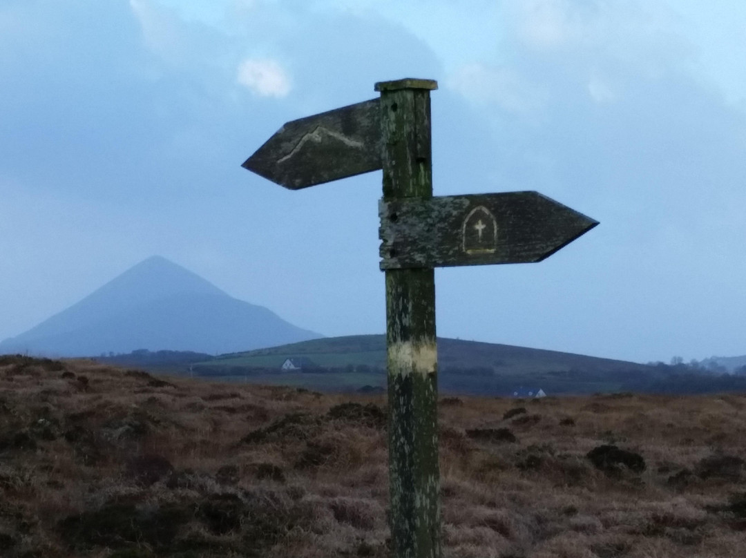 Clew Bay Sightseeing Tours景点图片