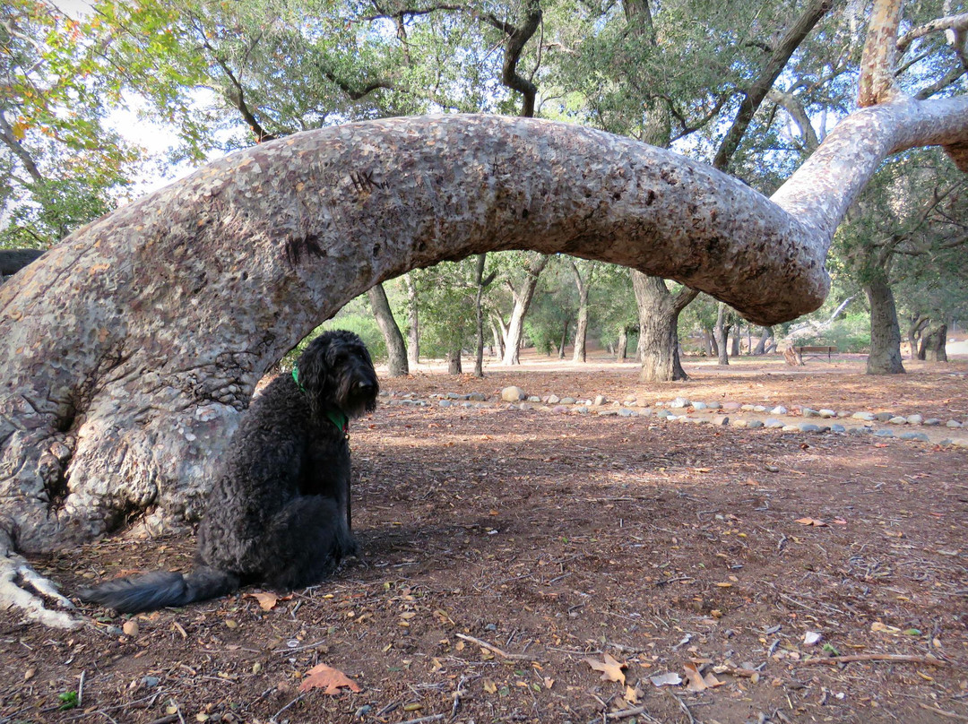 O'Neill Regional Park-Trabuco Canyon必去景点