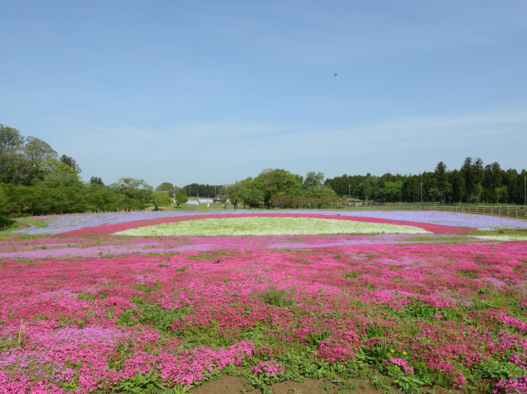Chiba City Tomitacho Agricultural Exchange Center-千叶市必去景点