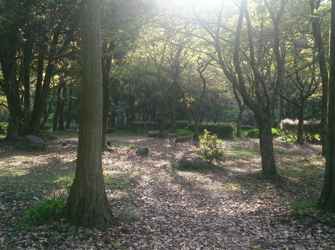 Nakanoahima Park景点图片