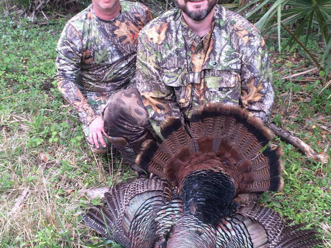 Everglades Adventures-克莱维斯顿必去景点