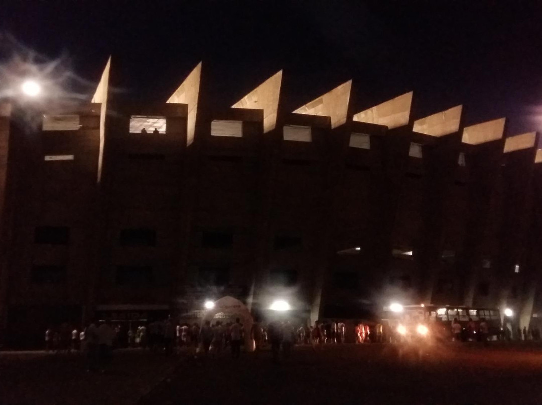 Governador Alberto Tavares Silva Stadium景点图片
