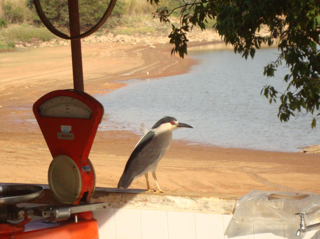 Porto Fazenda Hotel主图