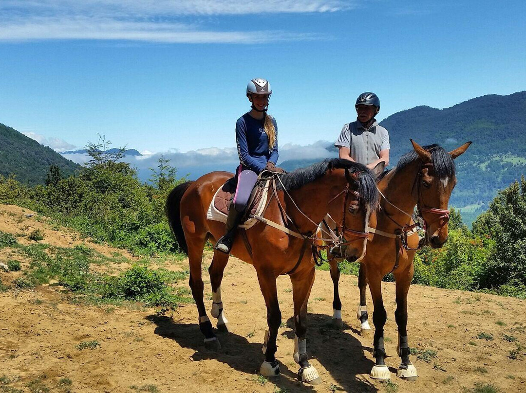 Huepil Malal-普孔必去景点