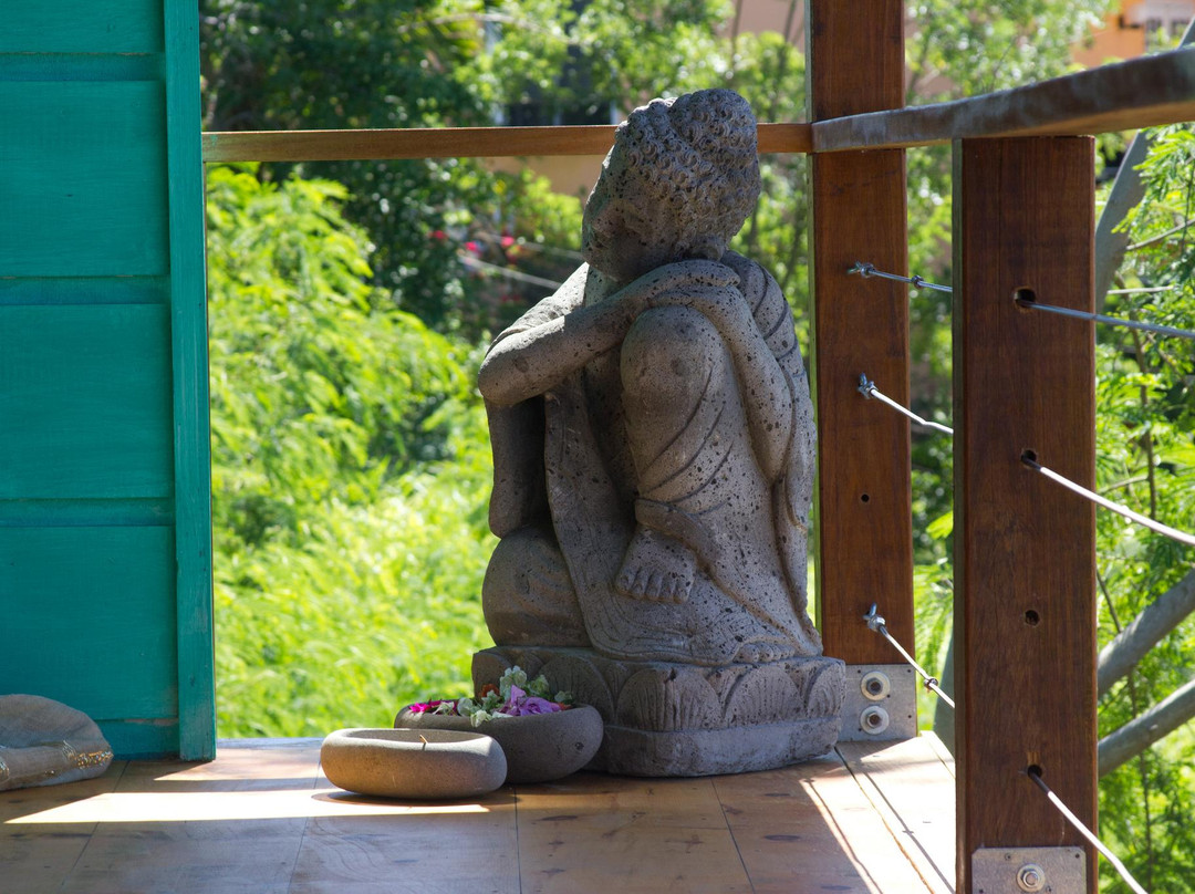 Sankalpa Yoga Studio-True Blue必去景点