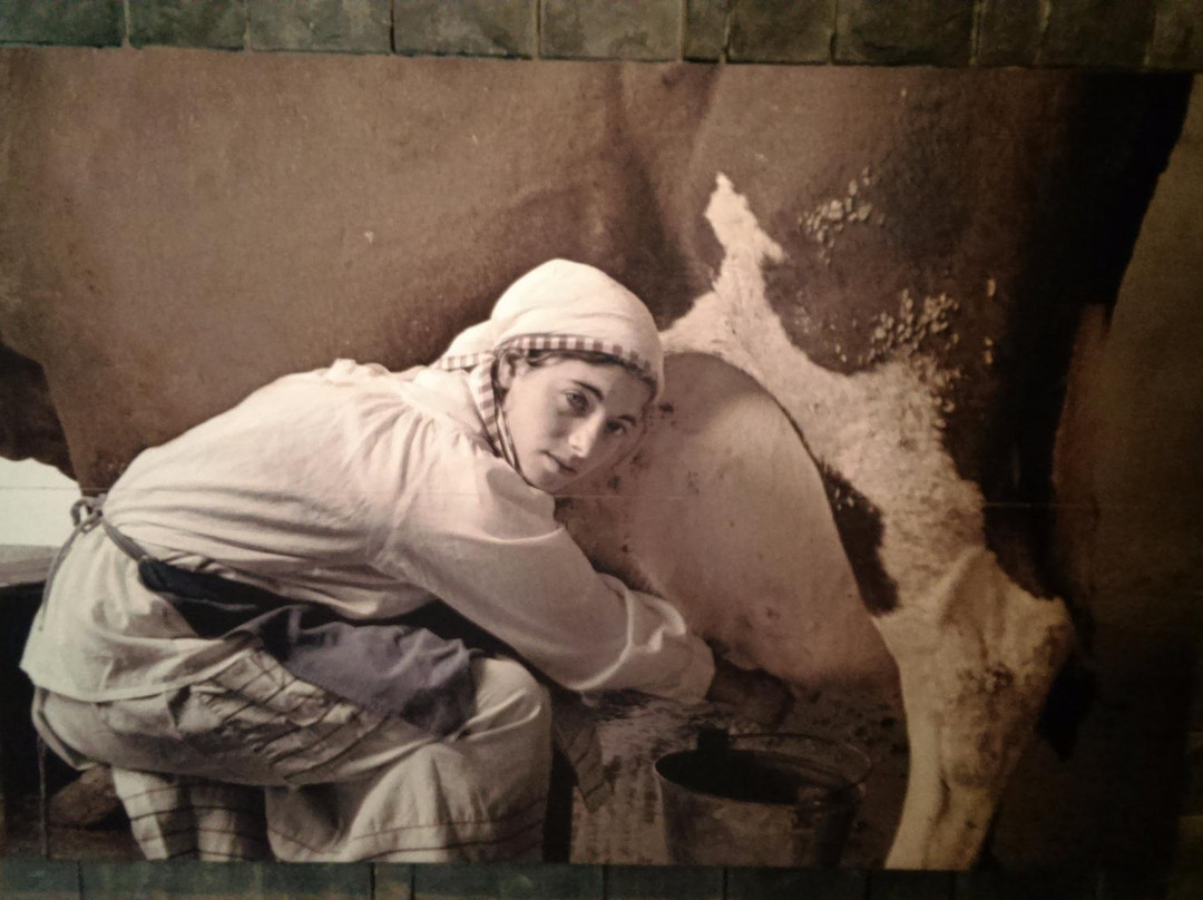 Tel-Hai-Qiryat Shemona必去景点