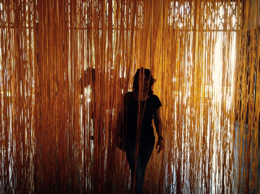 Museo de Bellas Artes-加拉加斯必去景点