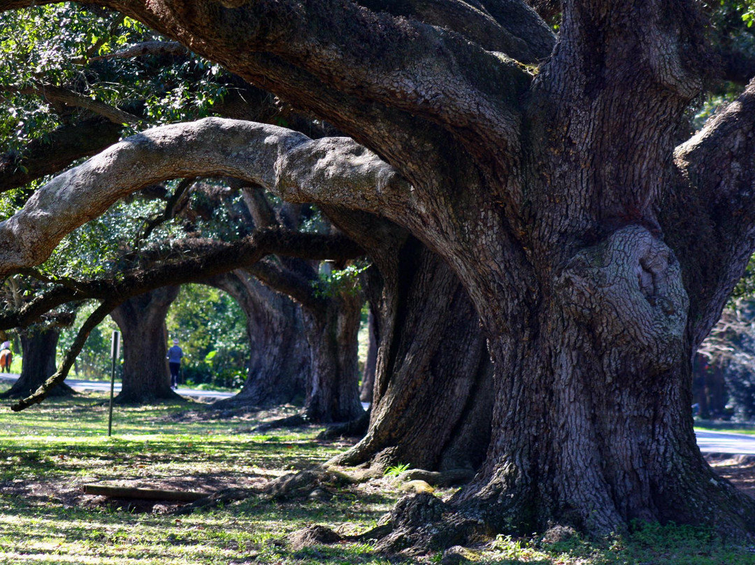 Audubon Park Golf Course景点图片
