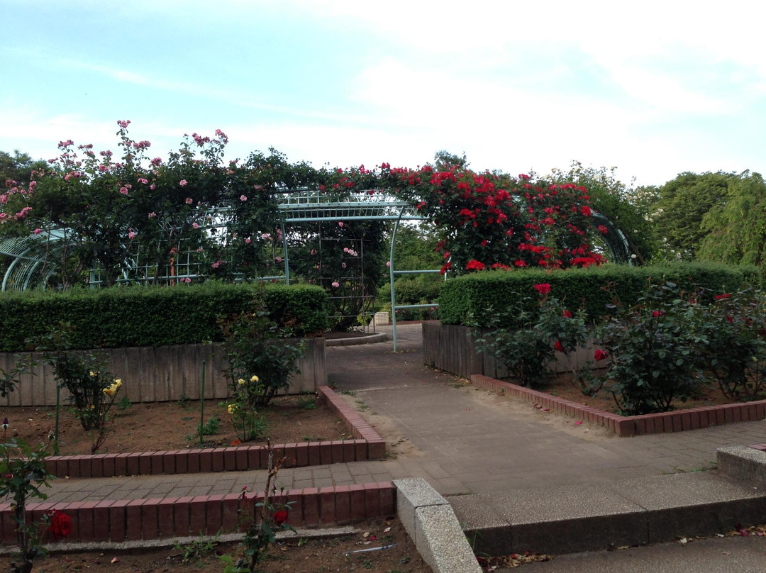 狭山市旅游景点-Chikozan Park