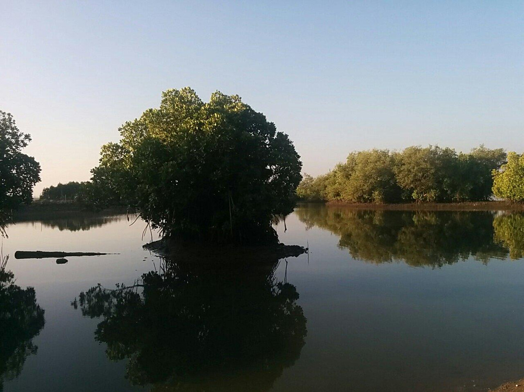 Uppinakudru Island-乌杜皮必去景点