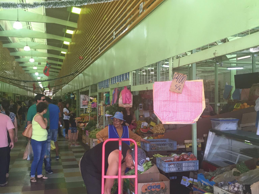 Terminal Agropecuario de Iquique - Region de Tarapaca-伊基克必去景点