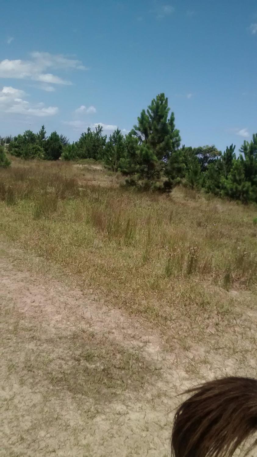 Hotel Fazenda Figueiras-官方