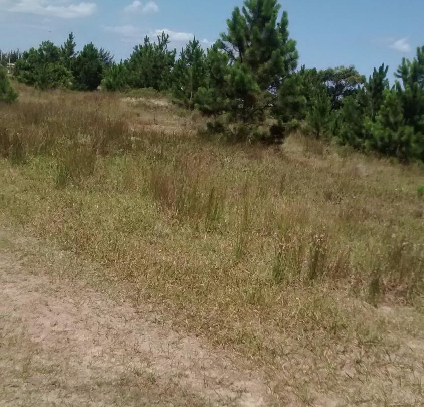 Hotel Fazenda Figueiras主图