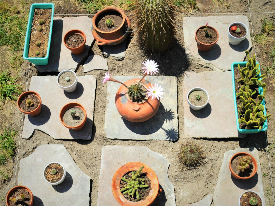 D-Gira Hostel Jujuy
