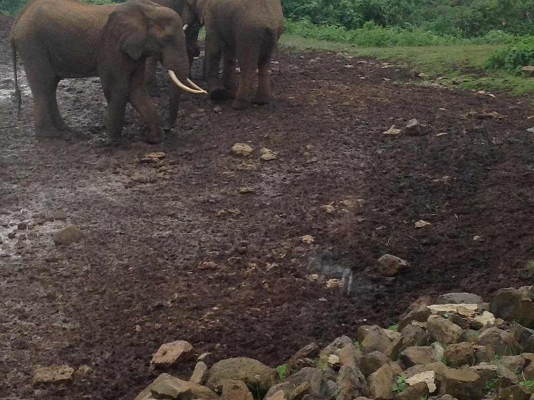 Aberdare National Park-涅里必去景点