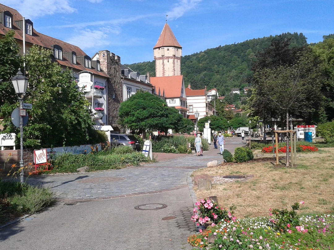 Esselbach旅游景点-Spitzer Turm