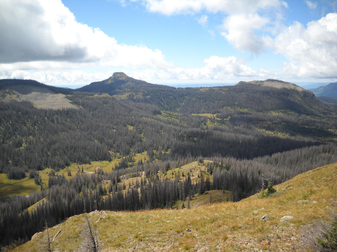 Lobo Overlook / Radio Tower-帕戈萨斯普林斯必去景点