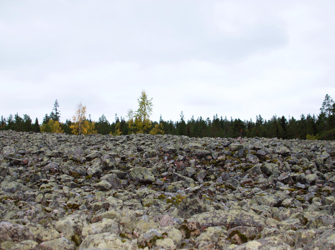 Balingeberget Nature Reserve-Luleå必去景点