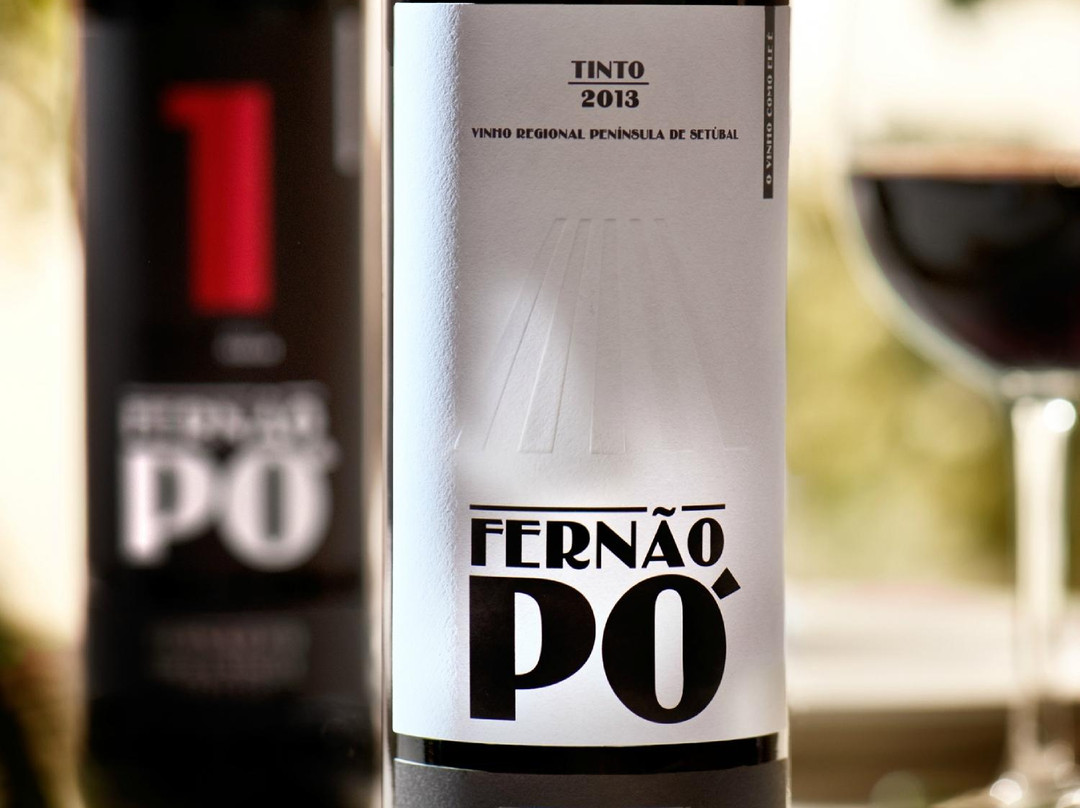 Fernao Po Adega Winery景点图片