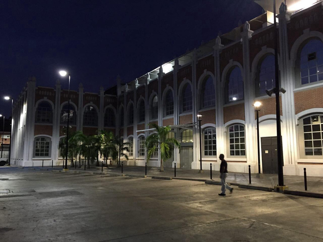 Paseo estacion central景点图片