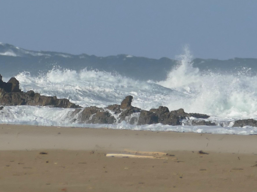 Hluleka Nature Reserve-姆莎莎必去景点