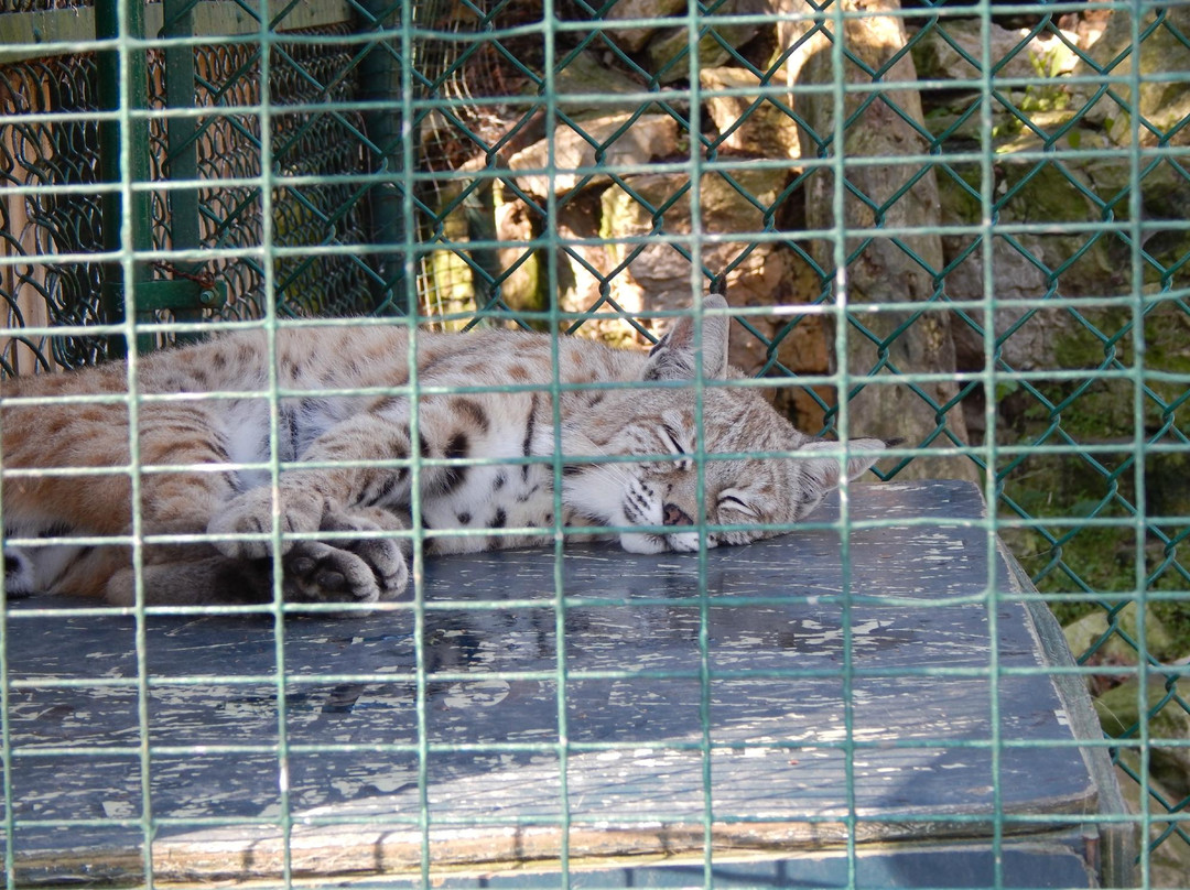 Bruemmer Park and Zoo-Kewaunee必去景点