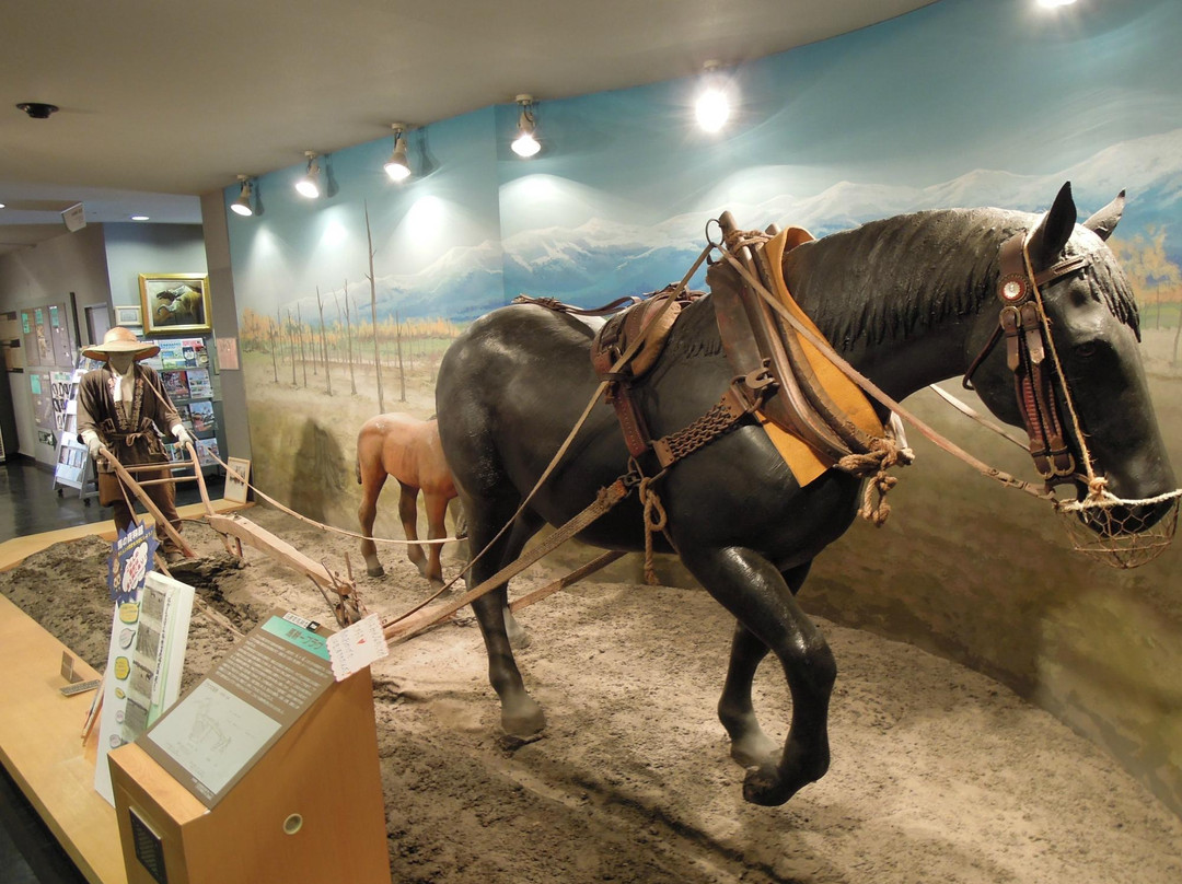 Horse Museum-带广市必去景点