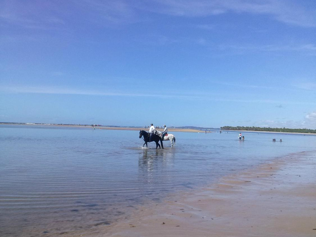 Barra de Jangada Beach景点图片