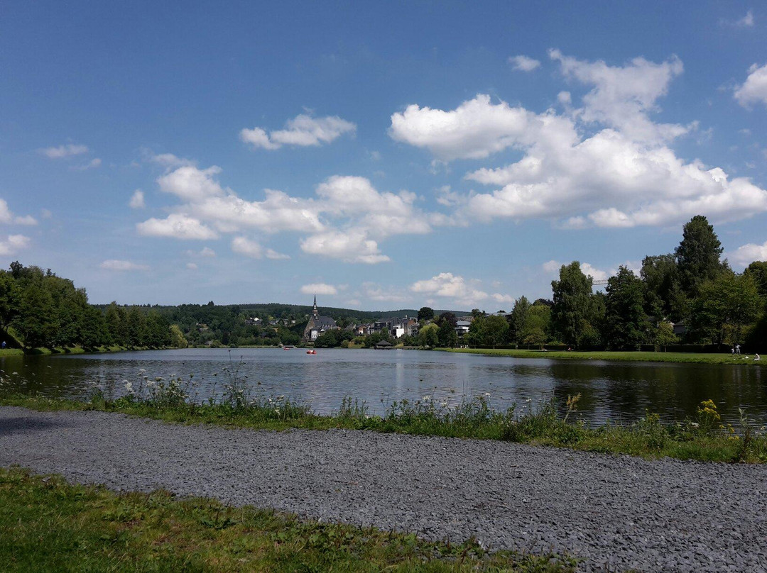 Lac des Doyards景点图片