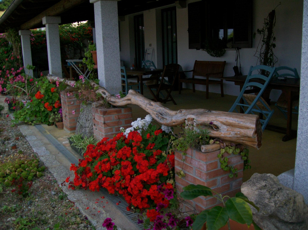 Agriturismo Bed and Breakfast Maltana主图