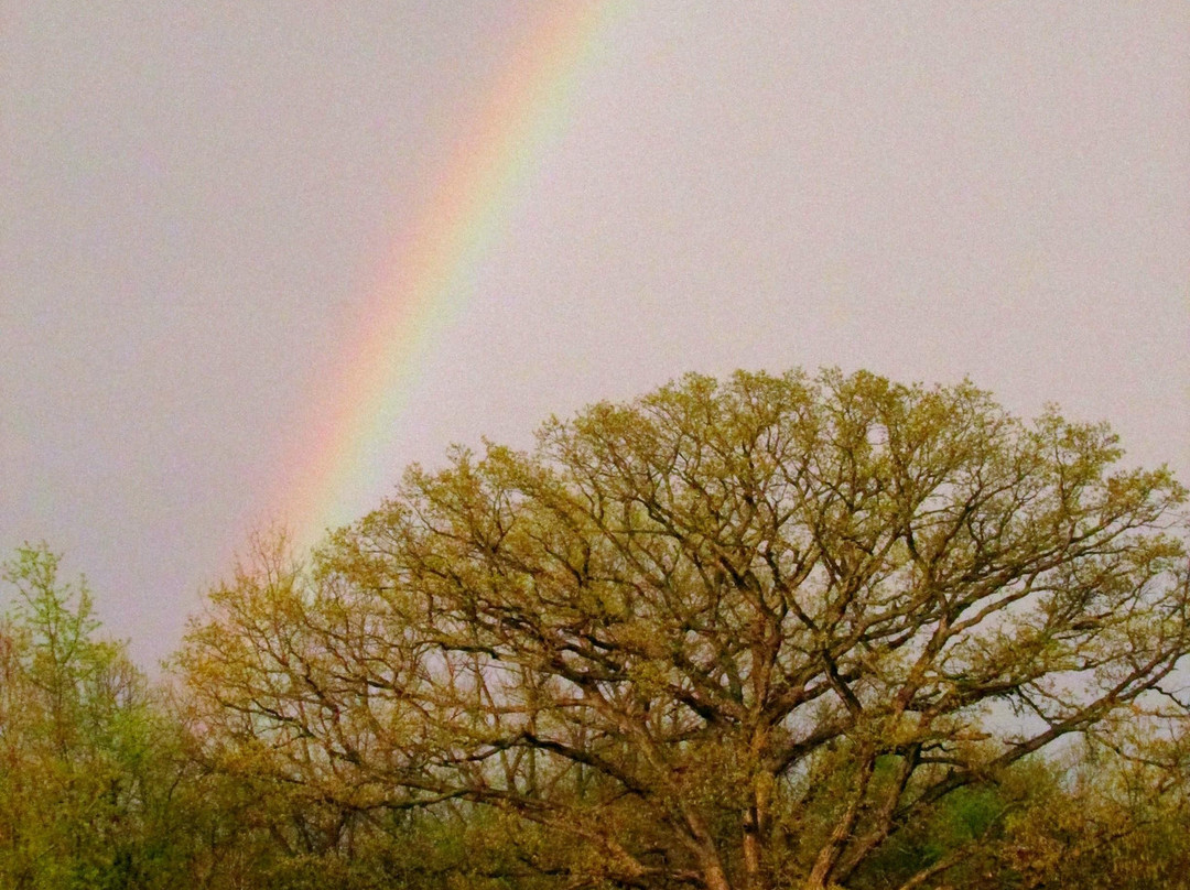 Shoal Creek Conservation Area-Litchfield必去景点