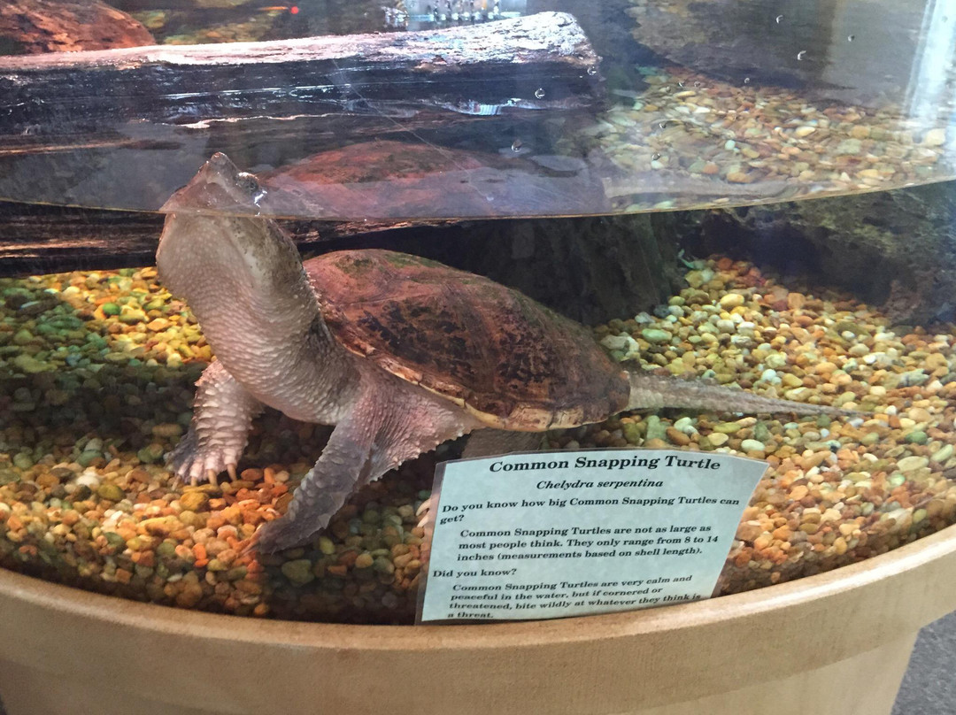 Oxbow Meadows Environmental Learning Center-哥伦布必去景点