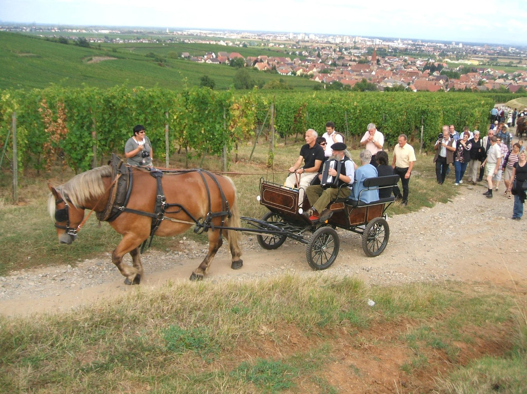 Domaine Wunsch & Mann景点图片