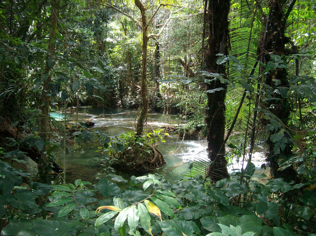 Laiwangi Wanggameti National Park景点图片