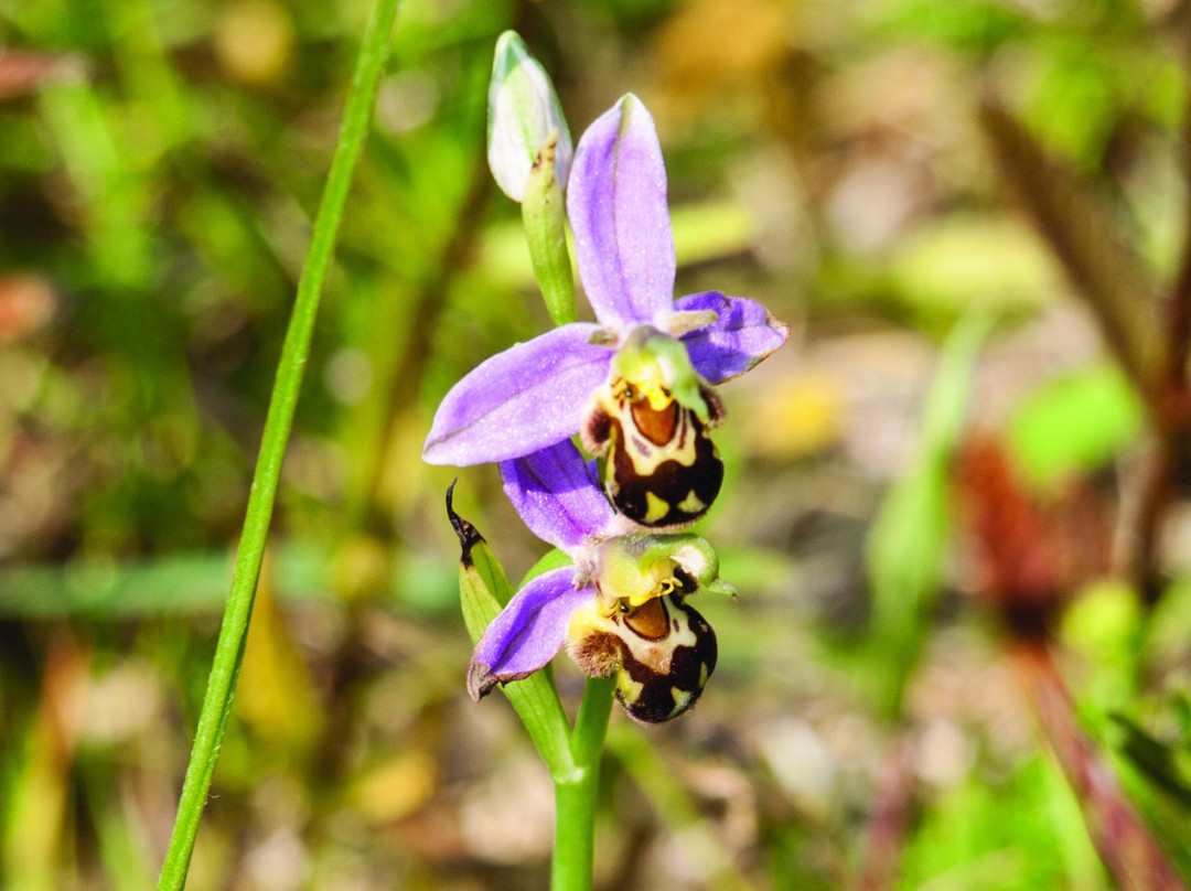 Wild Derrynane-Caherdaniel必去景点