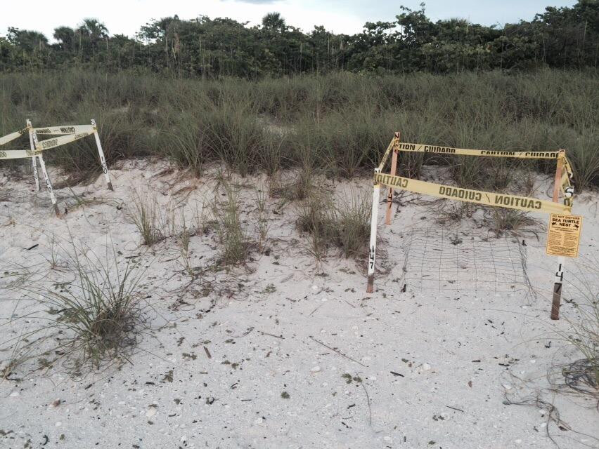 Barefoot Beach Preserve County Park景点图片
