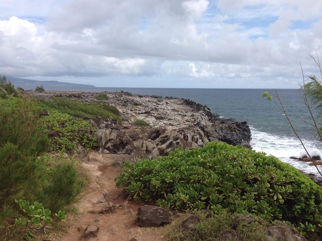 Kapalua Coastal Trail-拉海纳必去景点