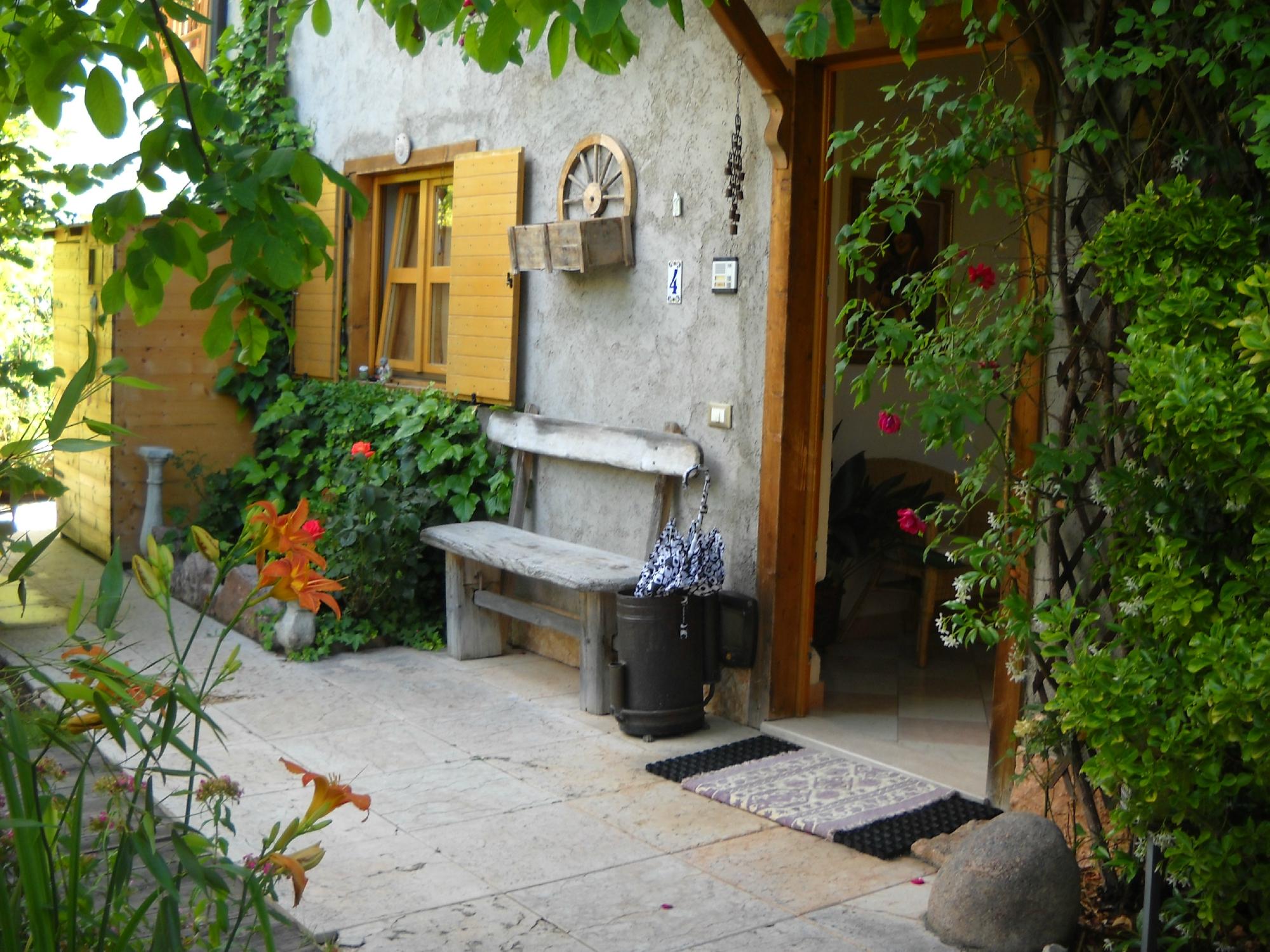 B&B Artemia-官方