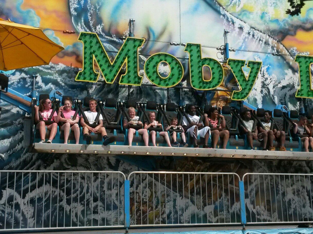 Beech Bend Park & Splash Lagoon-鲍灵格林必去景点