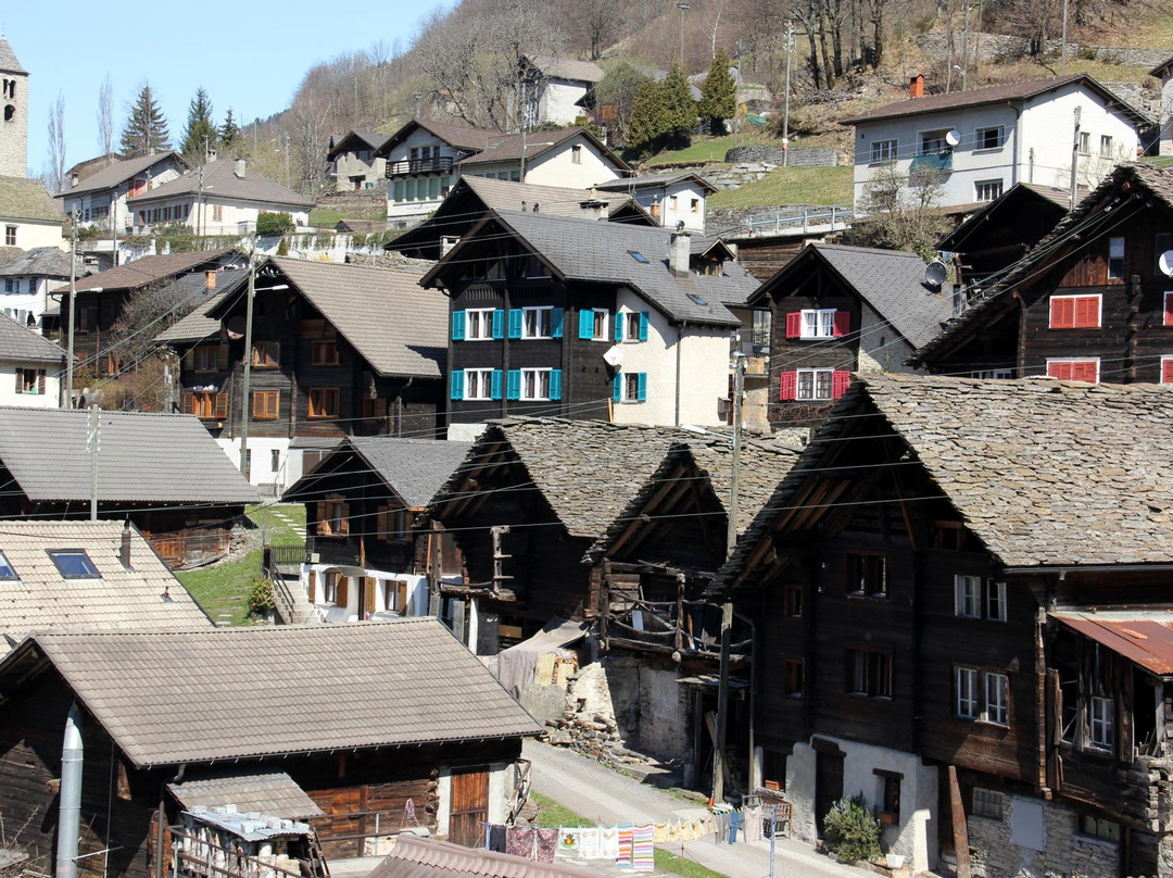 Agriturismo - B&B Bertazzi主图