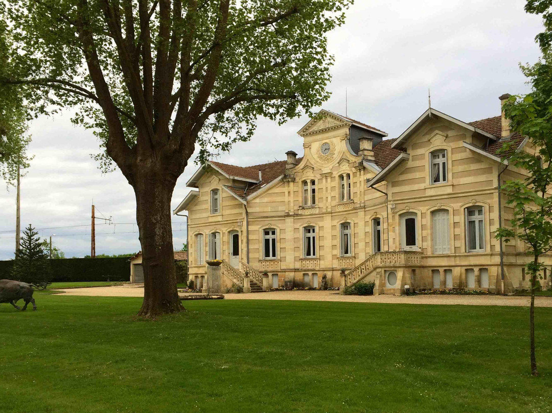 Chateau Maucaillou主图