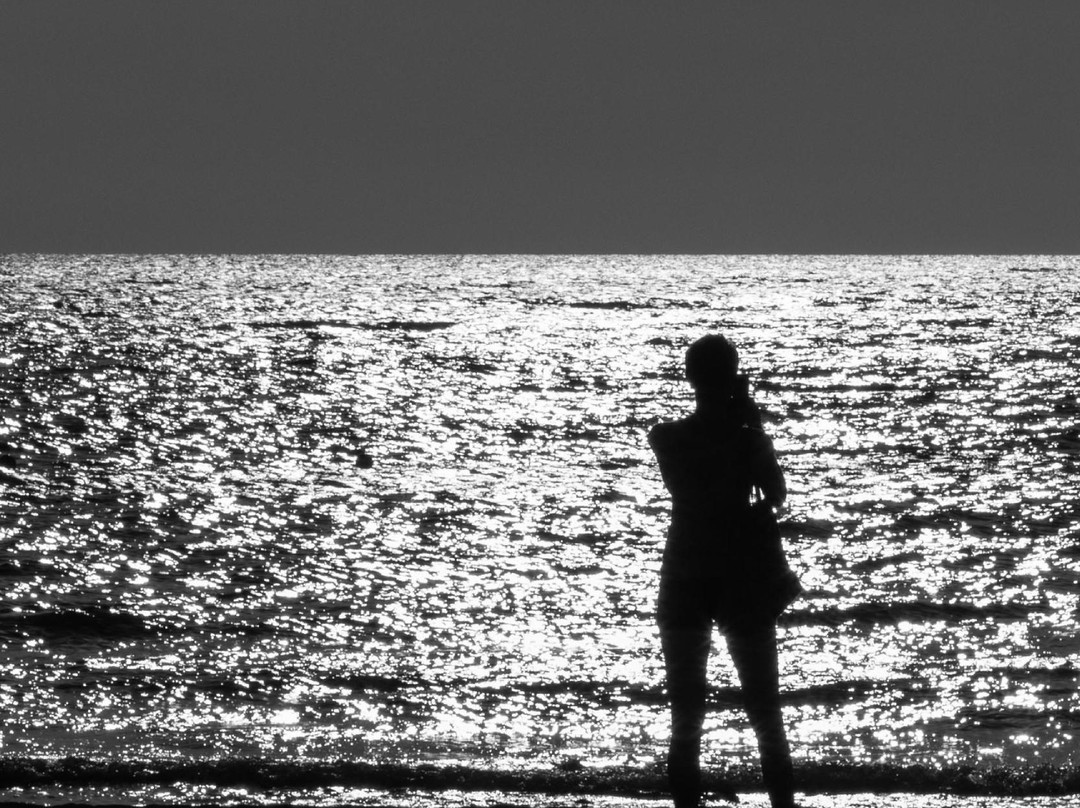 Dressel Divers Cozumel-考祖梅必去景点