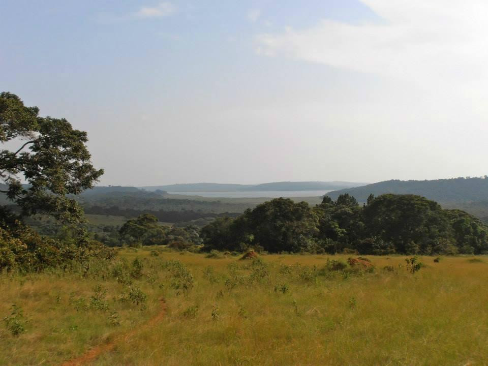 Buggala Island-Ssese Islands必去景点