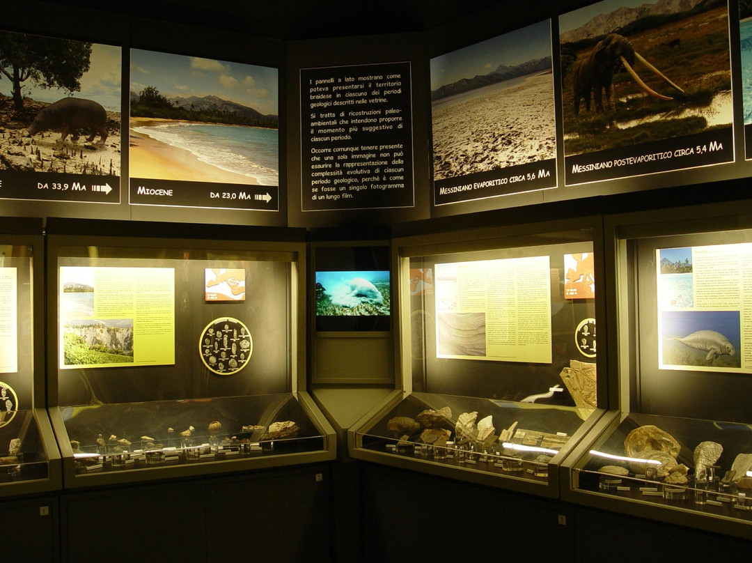 Museo Civico Craveri di Storia Naturale-Bra必去景点