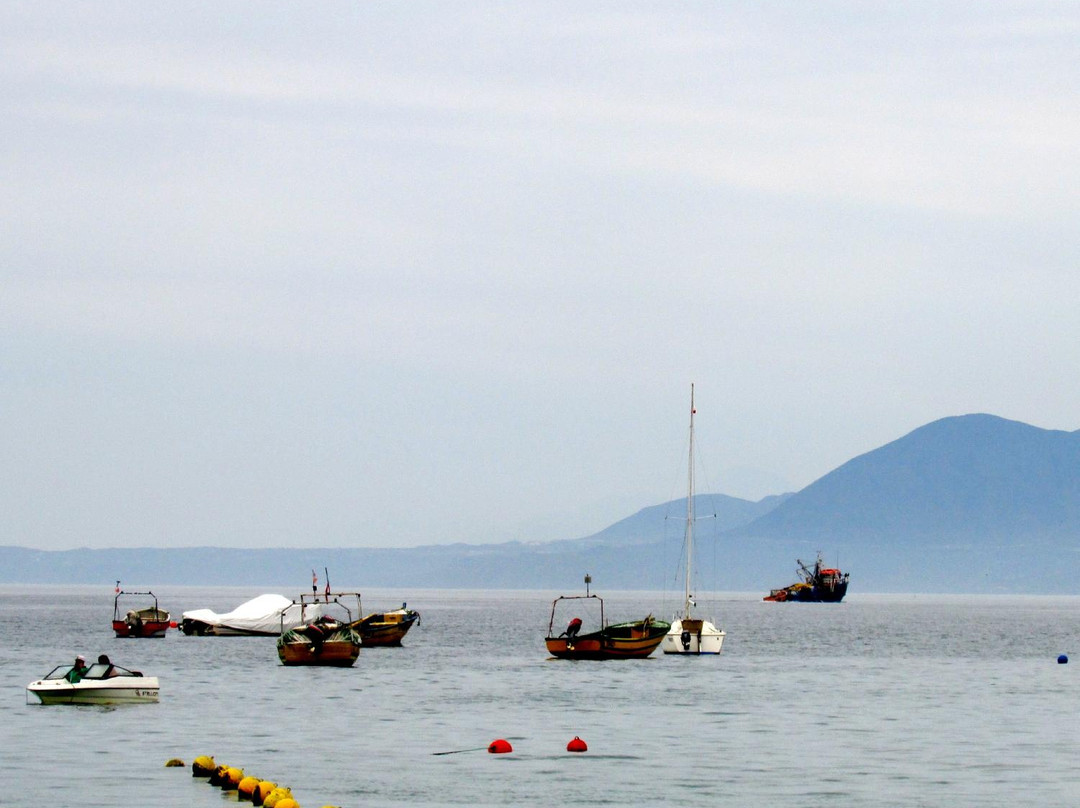 Playas Socos-Tongoy必去景点