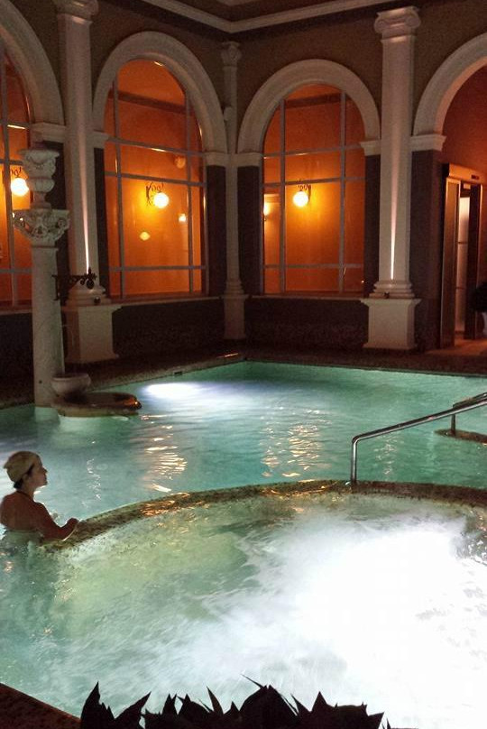 Bagni di Pisa Medical Spa景点图片